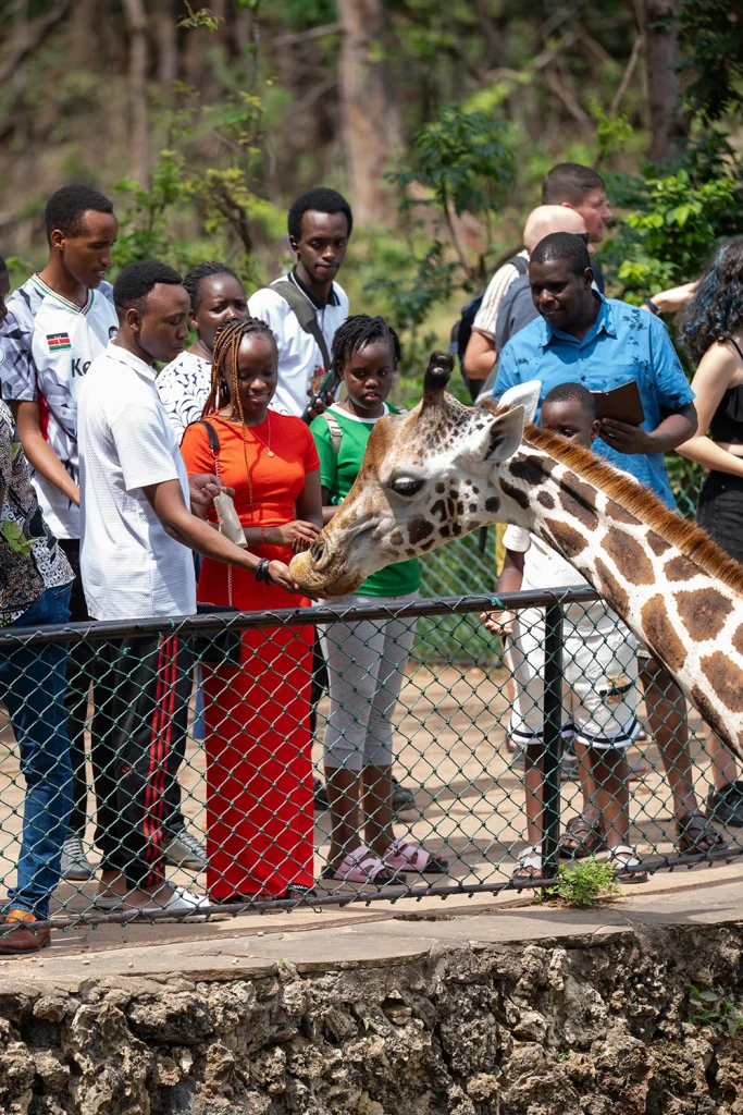 Visitors at Haller Park